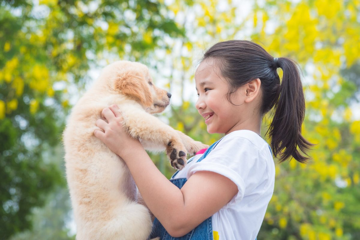 Young asian girl holding a little golden retriever dog in park
